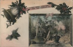 A Very Merry Christmas from San Francisco, Cal. - Japanese Tea Garden, Golden Gate Park California Postcard Postcard Postcard