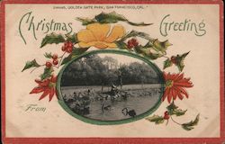 Christmas Greetings. Insert of Swans, Golden Gate Park Postcard