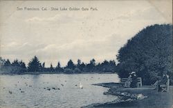 Stow Lake Golden Gate Park Postcard