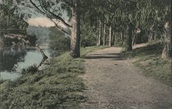 Lakeside Path, Golden Gate Park San Francisco, CA Postcard Postcard Postcard