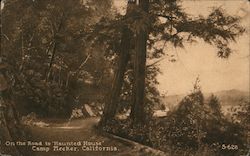 On the Road to "Haunted House" Camp Meeker, California Postcard Postcard Postcard