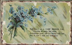 Well here I am in Camp Meeker, Cal. Postcard