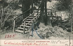 Rustic Bridge, Eaglenest Postcard