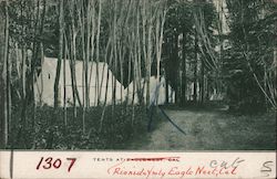 Tents at Eaglenest Postcard