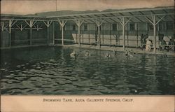 Swimming Tank, Agua Caliente Springs Postcard