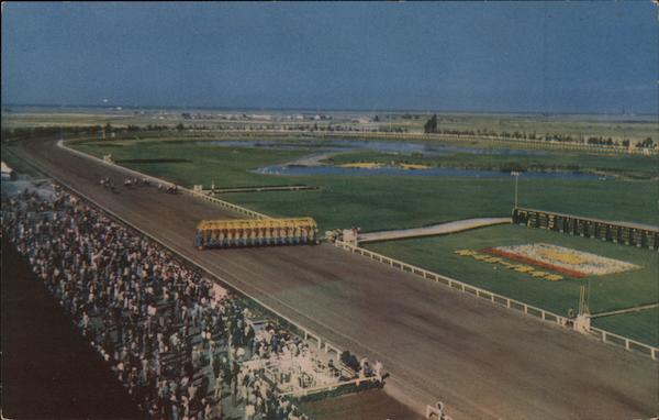 Bay Meadows Race Track San Mateo, CA Postcard