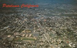 Aerial View of the City of Petaluma, CA Postcard