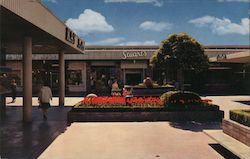 Hillsdale Shopping Center Postcard