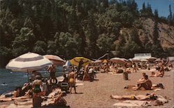 Johnson's Beach on the Russian River Guerneville, CA Postcard Postcard Postcard