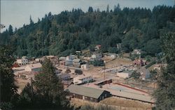 Bird's Eye View Occidental, CA Postcard Postcard Postcard