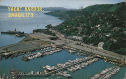 Yacht Harbor Sausalito, CA Postcard Postcard Postcard