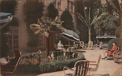 Flower Garden, Hotel Canterbury - 750 Sutter Street Postcard