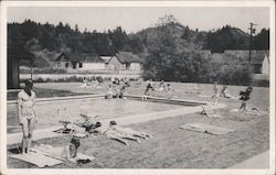 The Surrey Inn, pool and bathers Guerneville, CA Postcard Postcard Postcard