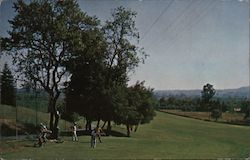 Golf Course Postcard