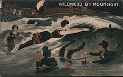 Wildwood by moonlight. Drinking Postcard Postcard Postcard