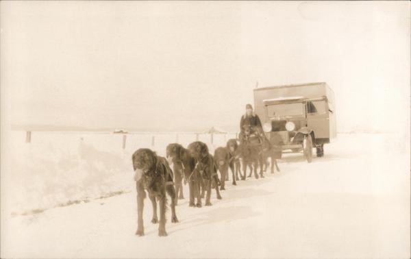 Sled dog team towing a truck on a snowy road Dogs Postcard