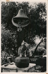 Dinnertime. Cat pulling bell rope Postcard