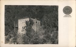 Brownshingle house on a wooded hill "Ortsgruppe San Francisco" Postcard