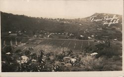 From Pacific Heights, view of valley Honolulu, HI Postcard Postcard Postcard