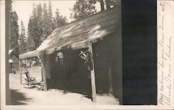 Sugar Pine Inn cabin at Uncle Tom's Cabin Buildings Postcard Postcard Postcard