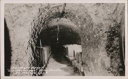 Beringer Bros - "Los Hermanos" Wine Vaults Saint Helena, CA Postcard Postcard Postcard