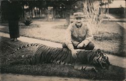 Man in uniform posing with (dead?) tiger Postcard