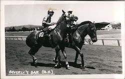 Beverly's Bar Race Horse Horse Racing Postcard Postcard Postcard