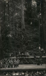 Bohemian Grove: Stage play at an outdoor theater in the woods Monte Rio, CA Postcard Postcard Postcard