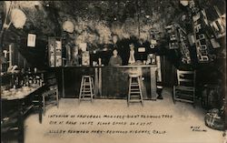 Interior of Fraterna Monarch-Giant Redwood Tree, Lilley Redwood Park Postcard