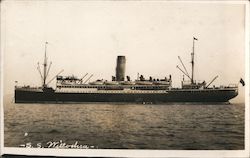 S. S. Willochra Postcard