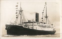 S.S. Venezula Postcard