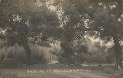 Griffin Ranch, Foothill College Mountain View Los Altos, CA Postcard Postcard Postcard