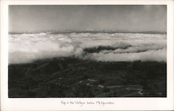 Fog in the valleys below Mt. Hamliton Postcard