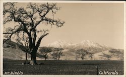 Mt Diablo Clayton, CA Postcard Postcard Postcard