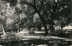 Memorial Park Los Gatos, CA Postcard Postcard Postcard