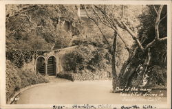 One of the many beautiful drives in Sausalito, Calif. California Postcard Postcard Postcard