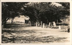 Scenic Drive - Carmel-by-the-Sea California Postcard Postcard Postcard