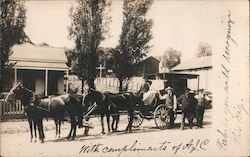 Five men with horse drawn covered carriage posing for picture Horse-Drawn Postcard Postcard Postcard