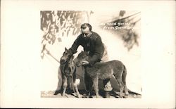 The wild horses from Grand Canyon - miniature horses Postcard Postcard Postcard