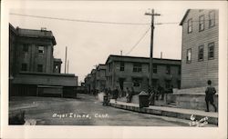 Angel Island,Street view, trashcans, power poles San Francisco, CA Original Photograph Original Photograph Original Photograph