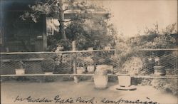 Golden Gate Park fenced garden and buildings San Francisco, CA Original Photograph Original Photograph Original Photograph