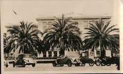 The Junior College, palm trees, cars, lightpost San Mateo, CA Original Photograph Original Photograph Original Photograph