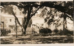 Gardens Hotel Benjamin Franklin San Mateo, CA Original Photograph Original Photograph Original Photograph