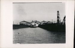 Ferry docked, seagulls Original Photograph