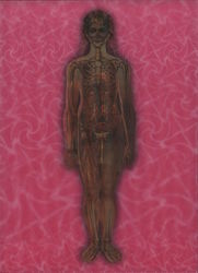 Human figure with X-ray of bones (painting) Postcard