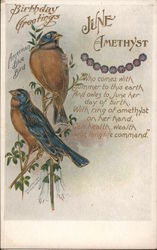 Birthday Greetings June Amethyst, American Blue Bird Postcard