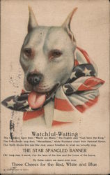 Watchful waiting. Dog with U.S. flag tied around neck. Patriotic Postcard Postcard Postcard