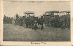 Ambulance Train - YMCA - Wagons pulled by mules World War I Postcard Postcard Postcard