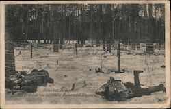 Fallen Russians near Augustów - Eastern War Picture Postcard