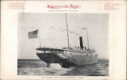 An Ocean Trip On A Savannah Liner Postcard